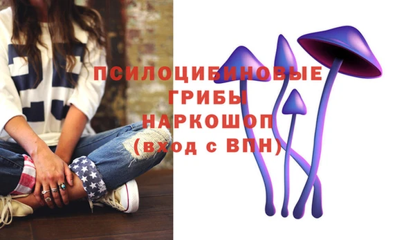 ешки Абинск