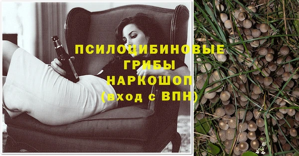 spice Абдулино