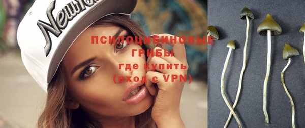 ешки Абинск