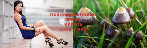 тгк Абаза