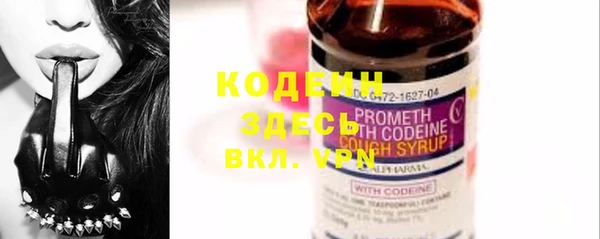 тгк Абаза