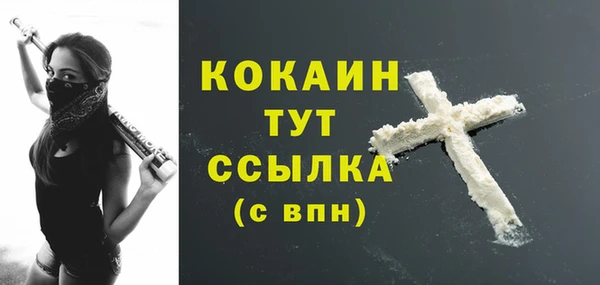 тгк Абаза