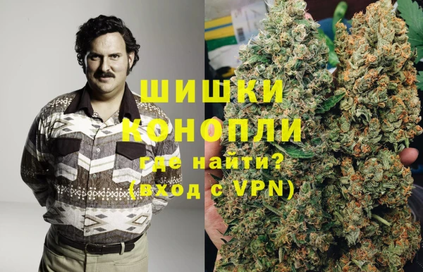индика Алексин