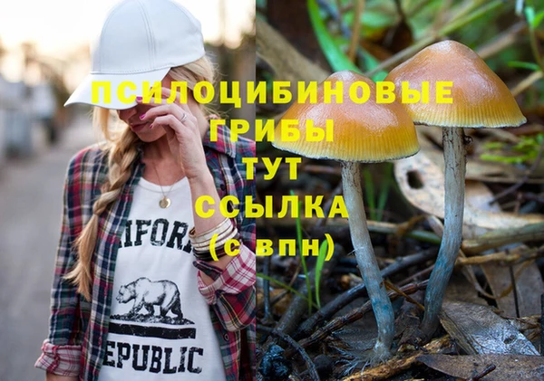 spice Абдулино