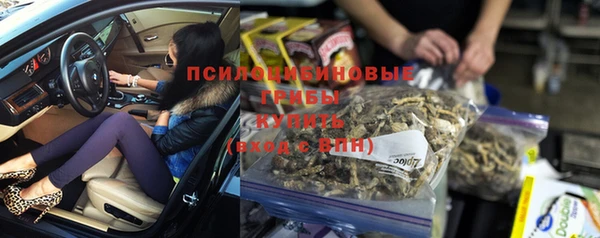 ешки Абинск